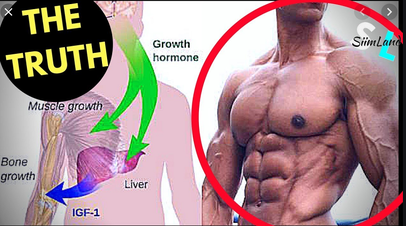 Human Growth Hormone Injection