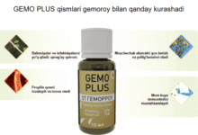 gemo plus