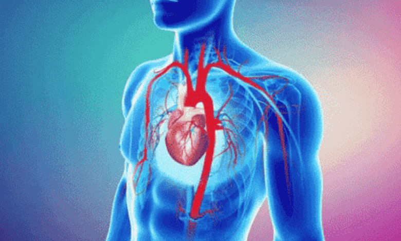 CardioFlow prix, avis et bienfaits