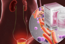 Urivelle საქართველოში